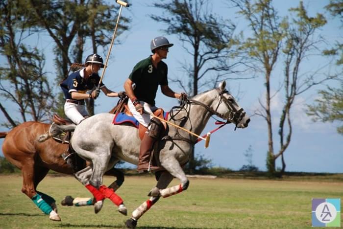 giat-la-hai-phong-az-laundry-tim-hieu-ve-polo